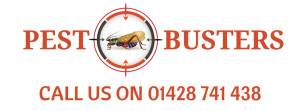 Pestbusters